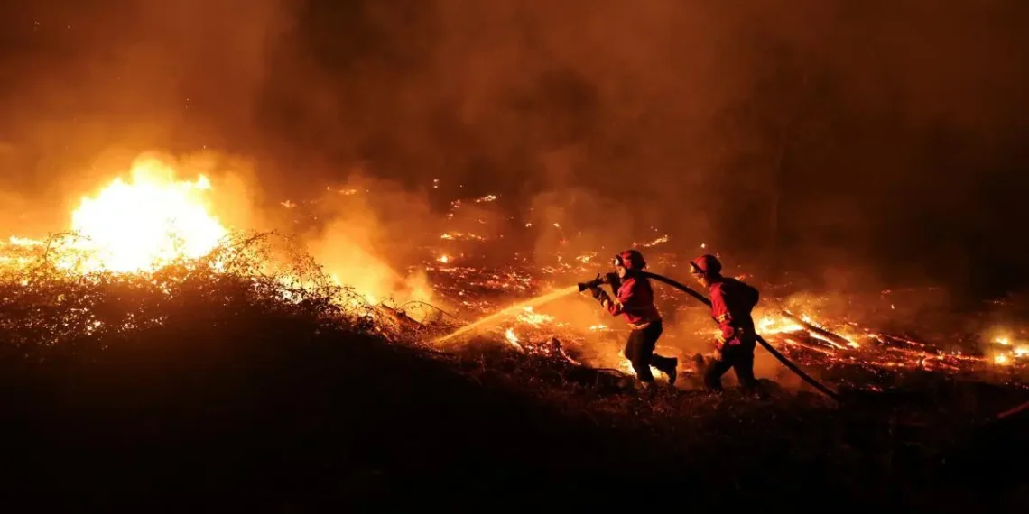 Wildfires Rage Across Portugal Amid Scorching Heat – Thousands Affected